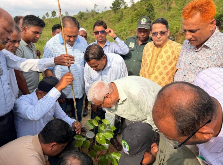 ইনানী রেঞ্জ অফিসের অধীনে জুম্মা পাড়া পাহাড়ে এক বর্ণাঢ্য বৃক্ষরোপণ কর্মসূচির উদ্বোধন করেন আলহাজ্ব শাহজাহান চৌধুরী এমপি কক্সবাজার-৪