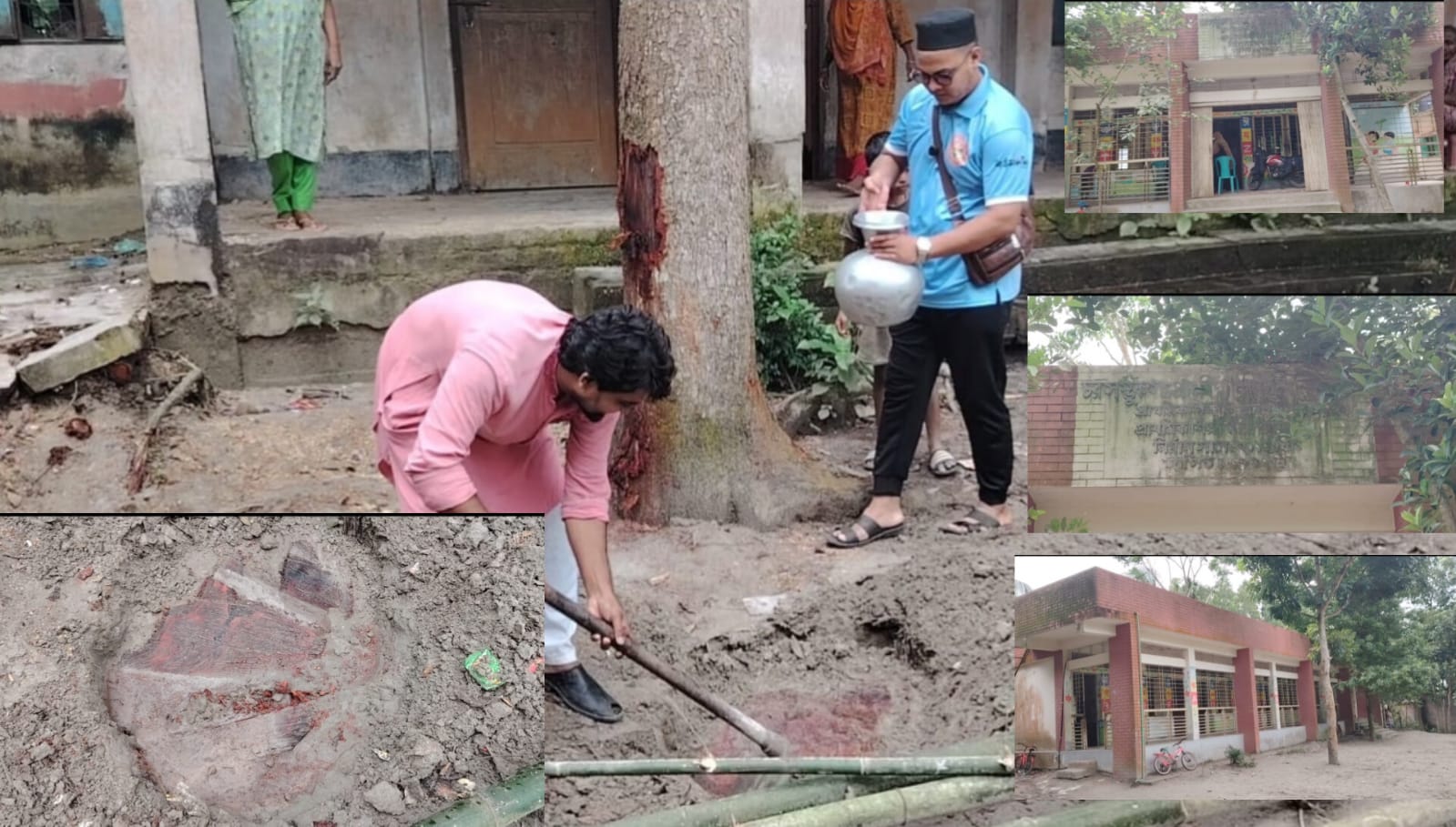 একটির জায়গায় তিন! শিবচরে গাছ কেটে মাটির নিচে গোড়া ঢাকার চাঞ্চল্যকর অভিযোগ