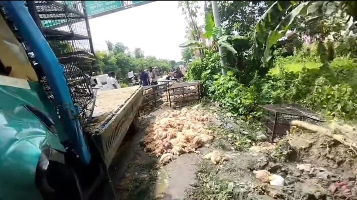বাকেরগঞ্জের খেজুরতলায় মুরগিবাহী লরি খাদে, চালক নিহত