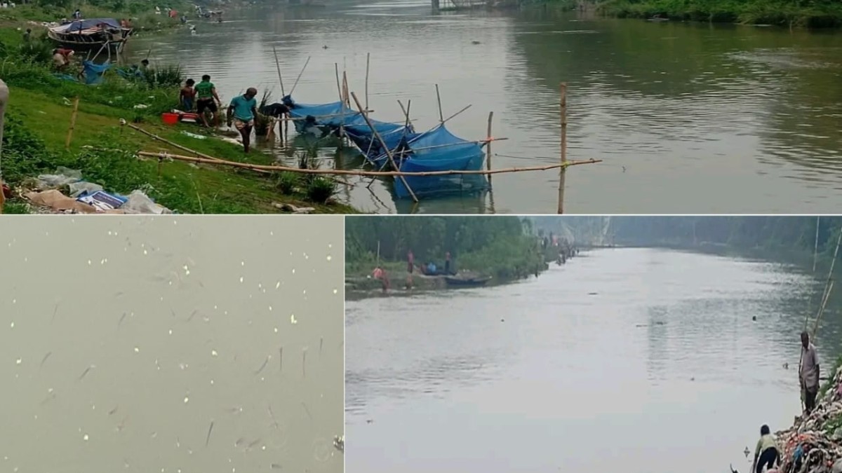 নলডাঙ্গার বারনই নদীতে ভেসে উঠছে মাছ-বিষ নাকি গ্যাস-রহস্য ঘিরে চাঞ্চল্য! 