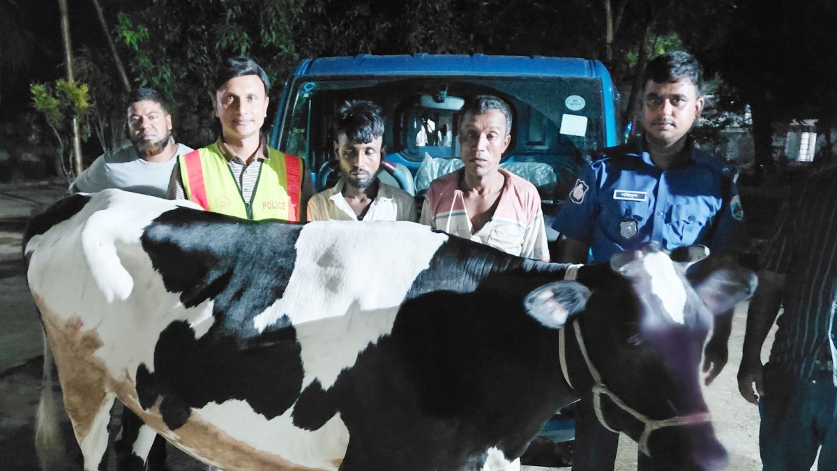 নওগাঁয় ১ টি গরু ও পিকআপসহ ২ জন চোর গ্রেপ্তার