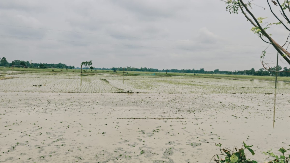 মাদ্রাসার নামে দানকৃত জমি দখলের অভিযোগ,প্রশাসনের হস্তক্ষেপ কামনা মাদ্রাসা কর্তৃপক্ষের 