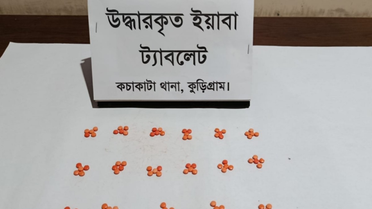 জেলের ছদ্মবেশে পুলিশের অভিযান, চর নারায়ণপুরে ইয়াবাসহ আটক ১