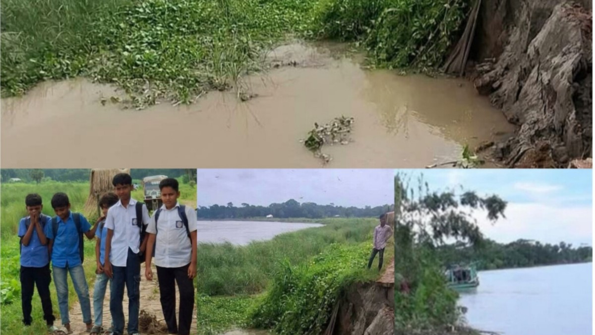 শিবচরে আড়িয়াল খাঁর ভাঙনে দিশেহারা মানুষ: হুমকির মুখে সড়ক-বেড়িবাঁধ ও শিক্ষাপ্রতিষ্ঠান