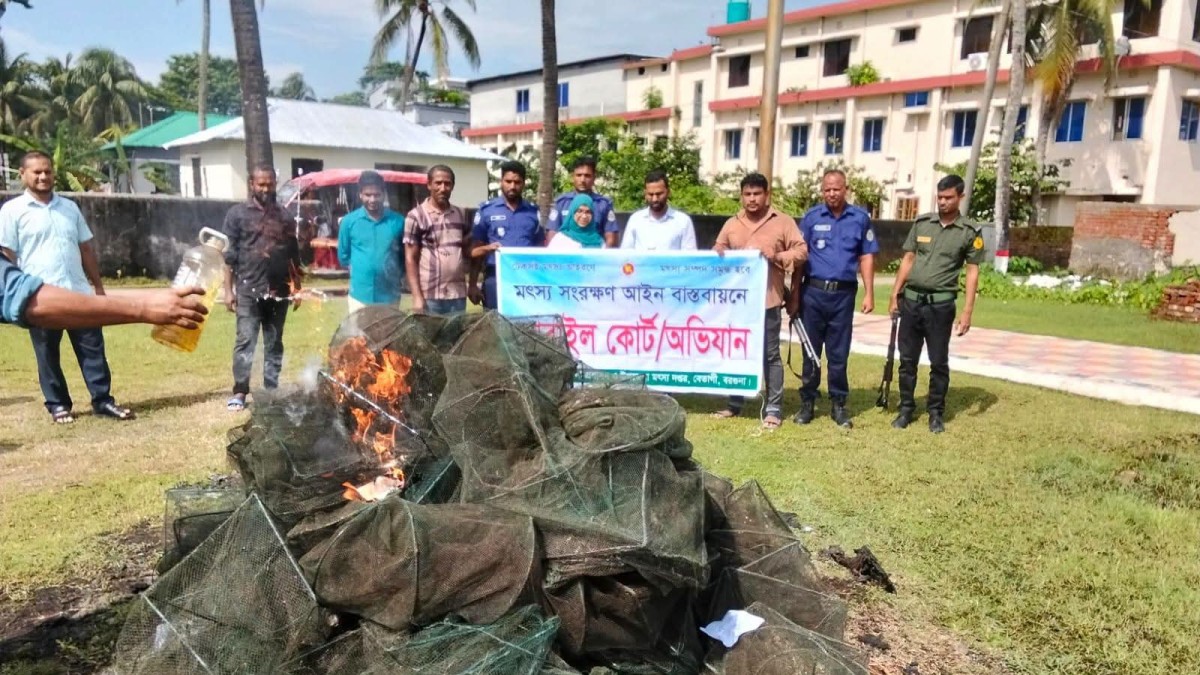 বেতাগীতে চায়না দুয়ারী জালের বিরুদ্ধে অভিযান, একের পর এক উদ্ধার হচ্ছে নিষিদ্ধ জাল