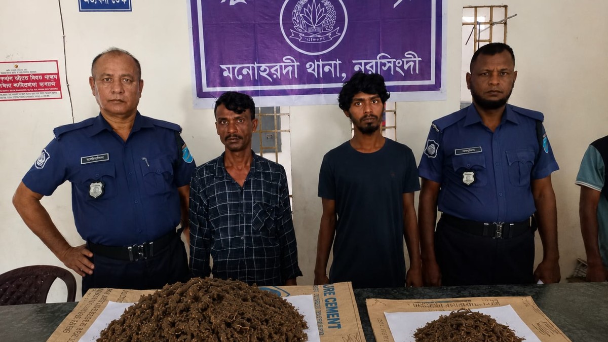 মনোহরদীতে ৬০০ গ্রাম গাঁজাসহ দুই মাদক কারবারি গ্রেপ্তার