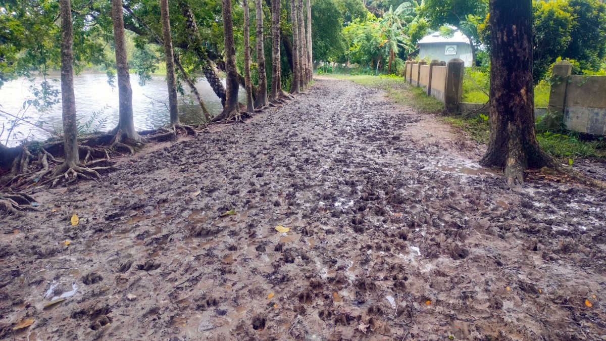 গলাচিপায রাস্তার বেহাল দশা, চিকিৎসার জন্য রোগী নিতে হয় মরদেহ বহণকারী খাটে।