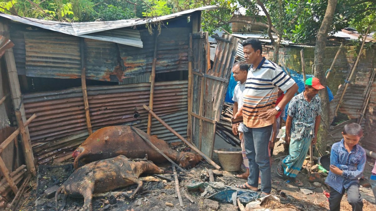 ফুলবাড়ীতে ভয়াবহ অগ্নিকাণ্ড, ঘরবাড়ি সহ গবাদি পশু পুড়ে ছাই