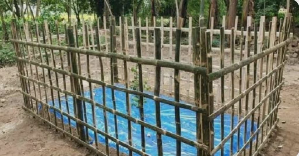 কবর থেকে মায়ের লাশ তুলে ঘরে লেপ–কাঁথায় ঢেকে রাখল ছেলে।