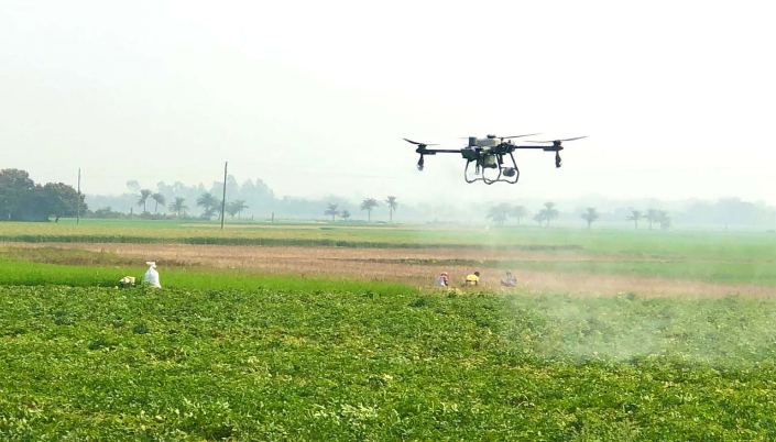 নওগাঁয় ফসলী মাঠে ড্রোন দিয়ে কীটনাশক প্রয়োগ!